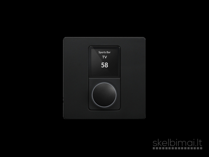 Blaze Audio Wall-S1 EU – sieninis tinklinis valdiklis