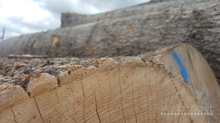 Perkame uosio rąstus