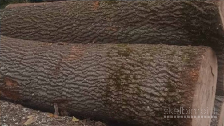 Perkame uosio rąstus