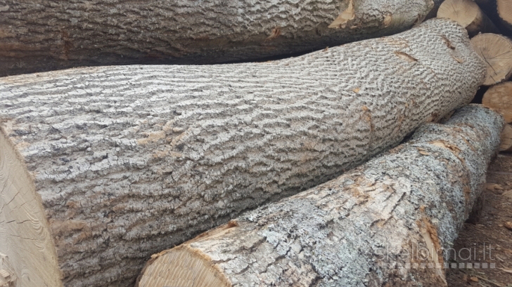 Perkame uosio rąstus