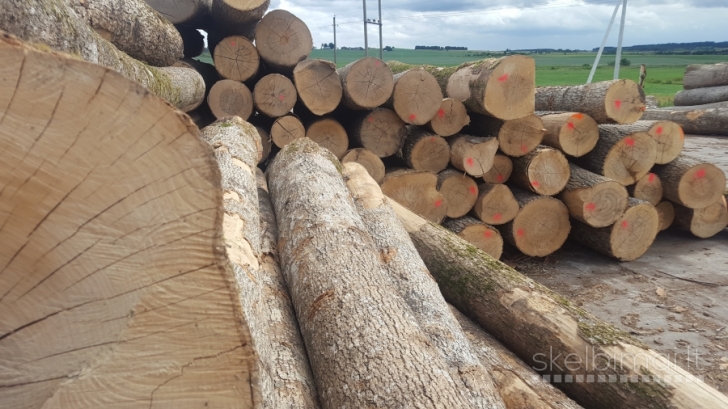 Perkame uosio rąstus