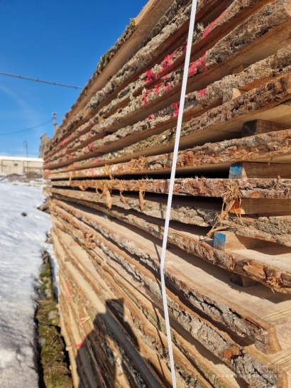 ĄŽUOLO, UOSIO džiovinta mediena