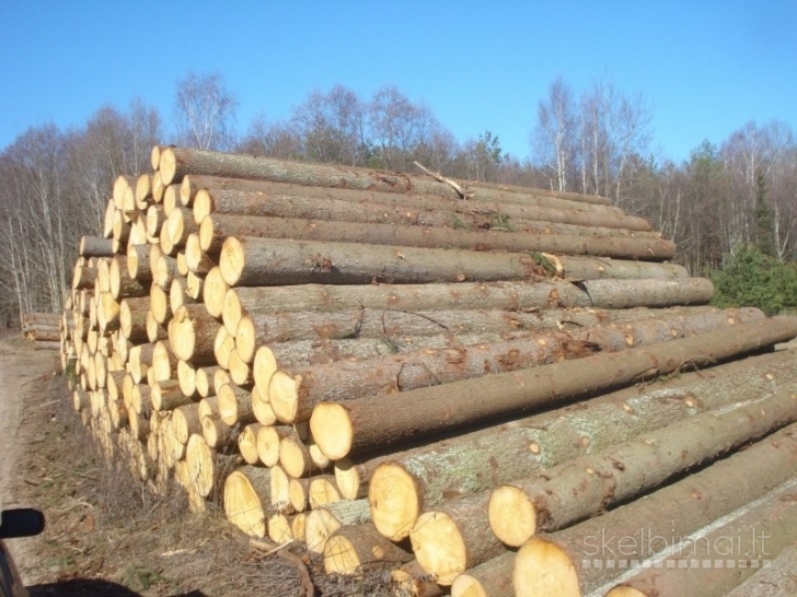 Superkame eglės rąstus ir plonrąsčius 3,6m 