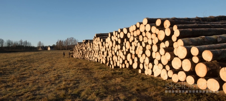 Superkame eglės rąstus ir plonrąsčius 3,6m 