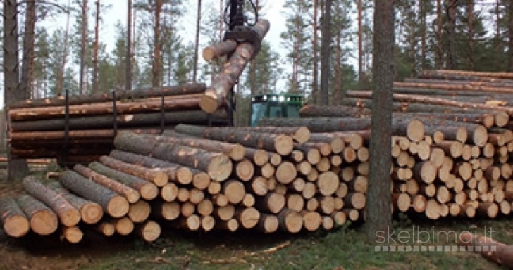 Superkame eglės rąstus ir plonrąsčius 3,6m 