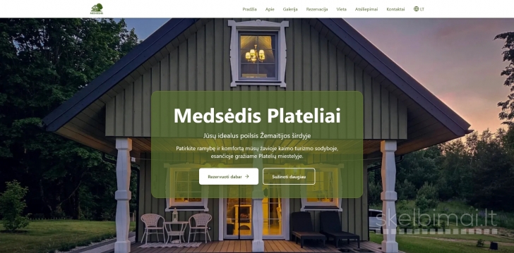 Profesionalios svetainės ir individualūs IT sprendimai