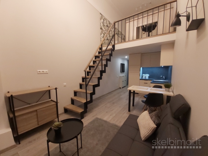 Modernus lofto tipo butas nuomai