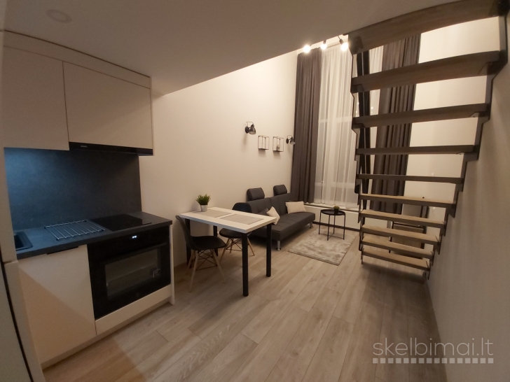 Modernus lofto tipo butas nuomai