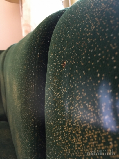 Modulinė Sofa "Žalgiris", Vilnius