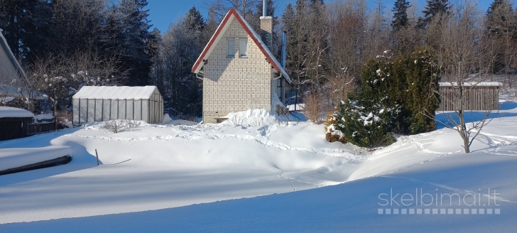 Parduodamas sodo namas šalia miško