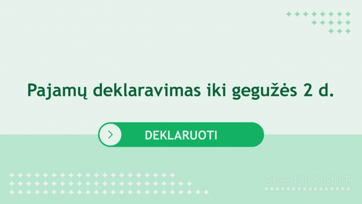 DEKLARACIJŲ PILDYMAS, Konsultavimas, Individuali veikla