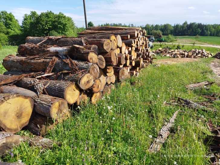 Perku medieną ignalinoje ir rajone +37067952964
