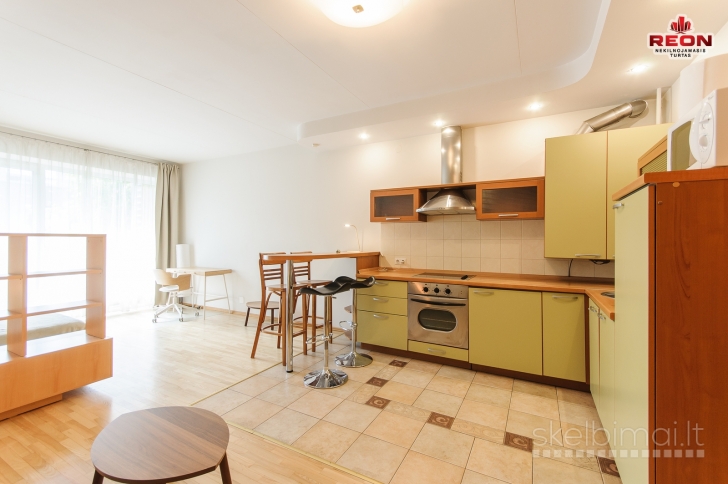 NUOMOJAMAS STUDIJOS TIPO 1 KAMBARIO BUTAS ŽVĖRYNE, LŪŠIŲ GATVĖJE!