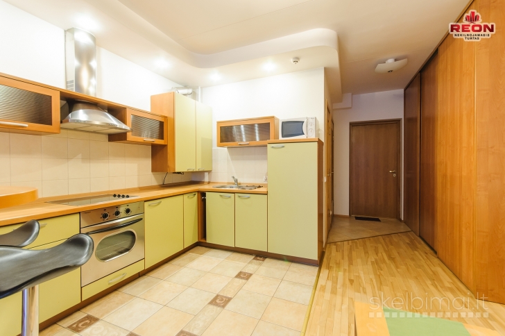 NUOMOJAMAS STUDIJOS TIPO 1 KAMBARIO BUTAS ŽVĖRYNE, LŪŠIŲ GATVĖJE!