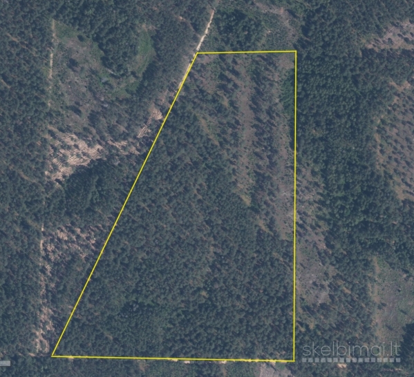 Parduodamas miško sklypas Varėnos rajone 12,6 ha