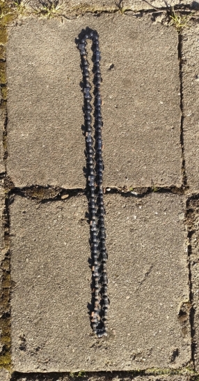 Elektrinio pjūklo gal ir benzinininiams medienai, medžiui grandinė, grandinės