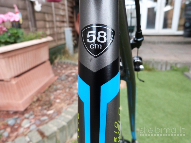 SPECIALIZED Allez Elite Road Bike. Carbon fork. Large. 9kg. Like New.