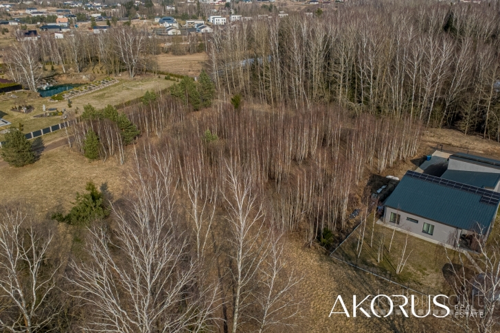 Akorus.lt – lygūs, tvarkingi sklypai su mišku