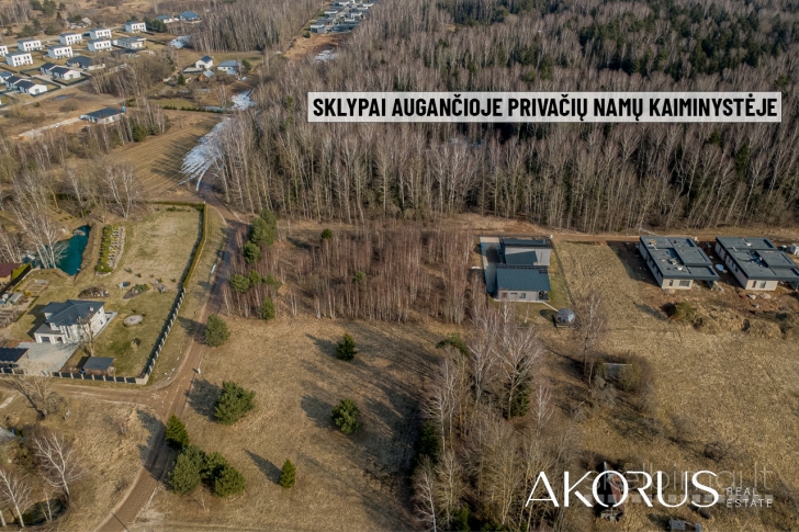 Akorus.lt – lygūs, tvarkingi sklypai su mišku