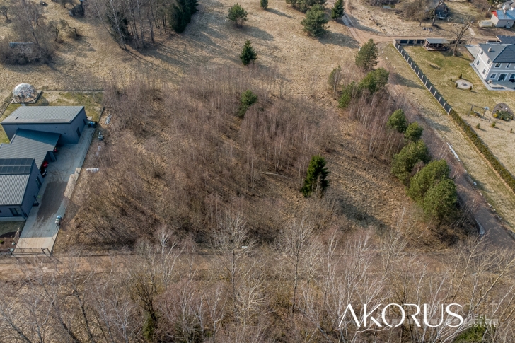 Akorus.lt – lygūs, tvarkingi sklypai su mišku