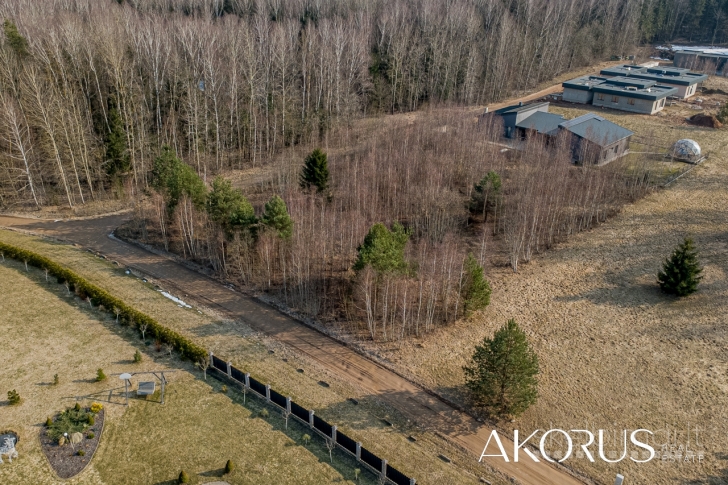 Akorus.lt – lygūs, tvarkingi sklypai su mišku