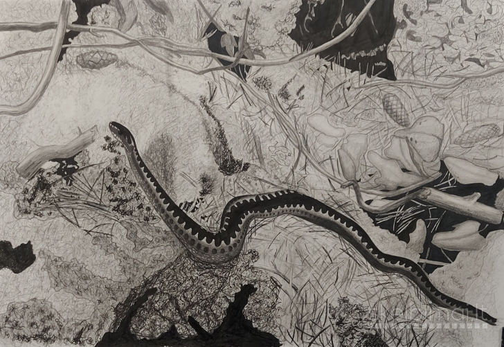 Piešimo, tapybos, kompozicijos kursai