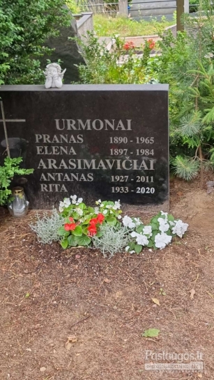 Raidžių kalimas ant paminklo Vilniuje