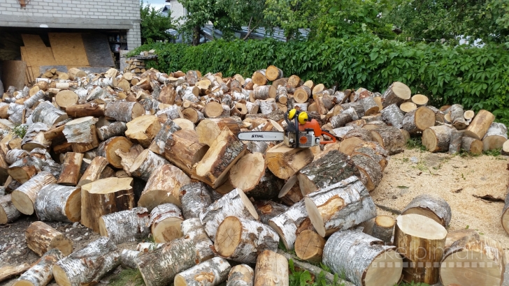 PJAUNU IR SKALDAU MALKAS KAUNE