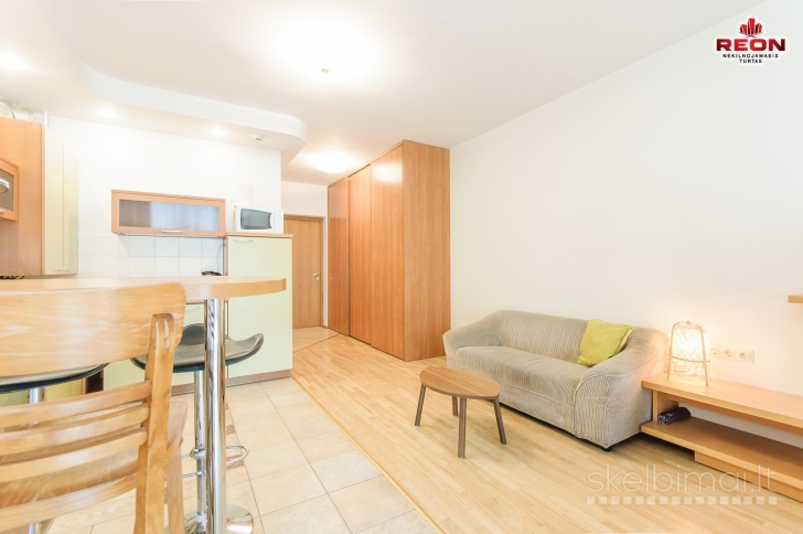 NUOMOJAMAS STUDIJOS TIPO 1 KAMBARIO BUTAS ŽVĖRYNE, LŪŠIŲ GATVĖJE!