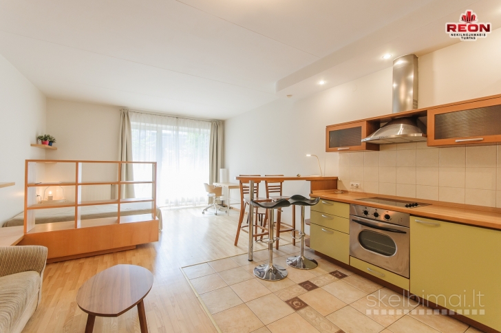 NUOMOJAMAS STUDIJOS TIPO 1 KAMBARIO BUTAS ŽVĖRYNE, LŪŠIŲ GATVĖJE!