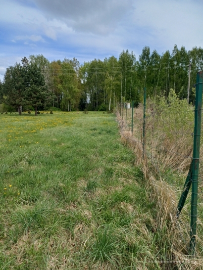 Namų valdos paskirties sklypas Vilniaus r. sav., Tekliūnų k., Plačioji g.