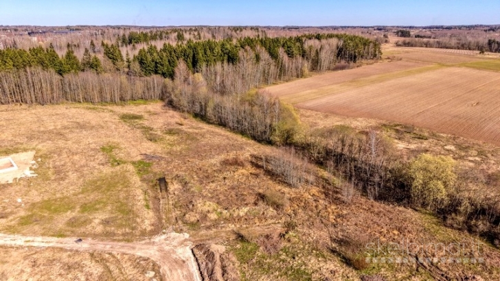 Vilniaus r. sav., Parapijoniškių k., Panoramos g., namu valdos sklypas