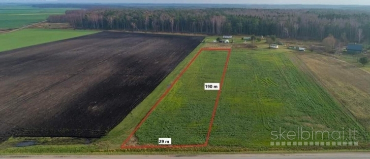 Parduodam Svencelėje netoli Kuršių marių du sklypai. Bendras plotas 54a.