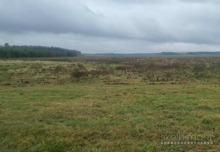 Žemės ūkio sklypas 8,8 ha Kalvarijos raj.