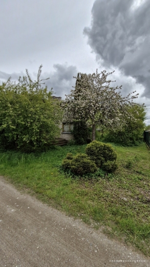 Sodų bendrijoje „Šernai“, Žiaukų kaime, Klaipėdos rajone