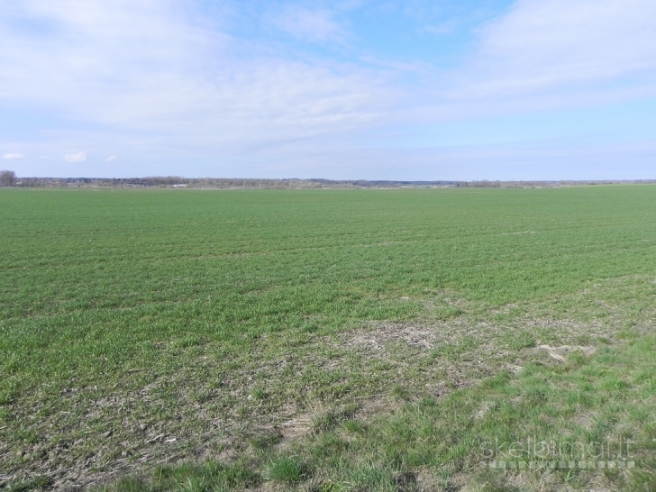 Parduodama žemė Gudienos km., Kaišiadorių r.