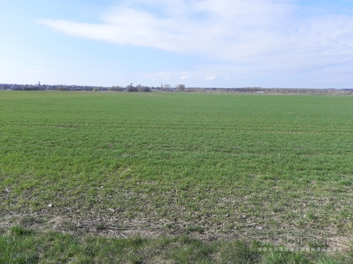 Parduodama žemė Gudienos km., Kaišiadorių r.