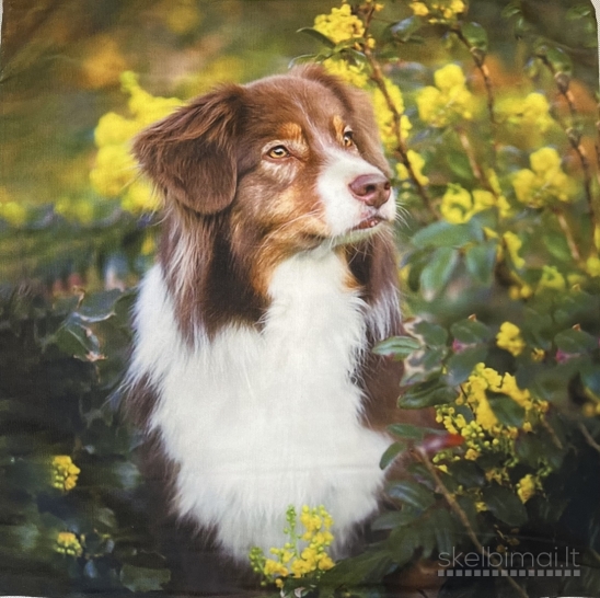 Dekoratyviniai pagalvių užvalkalai 40 x 40 cm