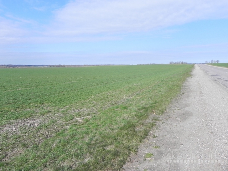 Parduodama žemė Gudienos km., Kaišiadorių r.