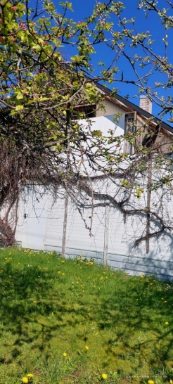 parduodu sodą Kalnėnų sodų bendrijoje