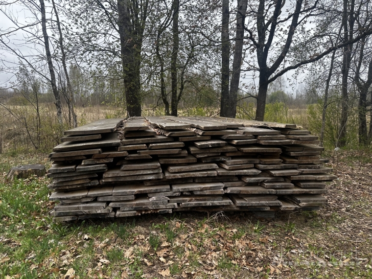 Ąžuolo blankės