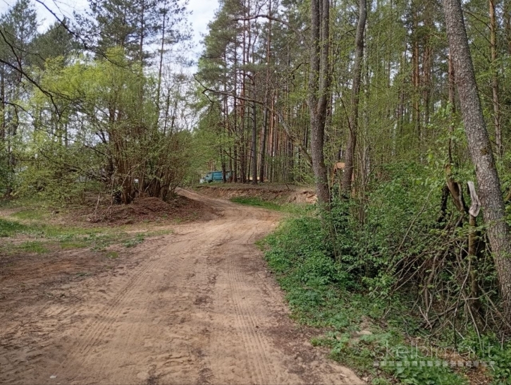 Sklypas prie Merkio upės (ribojasi) Varėnos r.