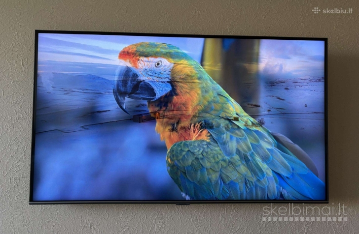 Samsung Q67T 4K 43 colių televizorius