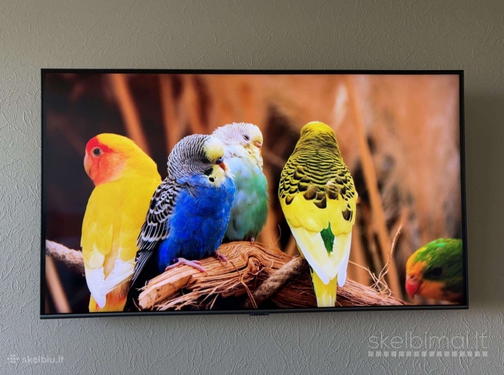 Samsung Q67T 4K 43 colių televizorius