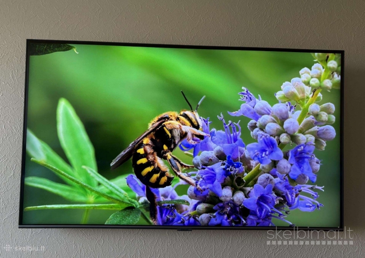 Samsung Q67T 4K 43 colių televizorius