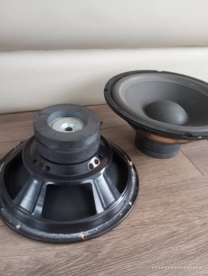 Garsiakalbiai 25cm 2vnt placiajuosciai pora 60euru