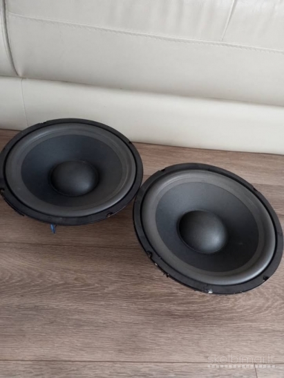 Garsiakalbiai 25cm 2vnt placiajuosciai pora 60euru