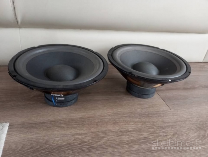 Garsiakalbiai 25cm 2vnt placiajuosciai pora 60euru