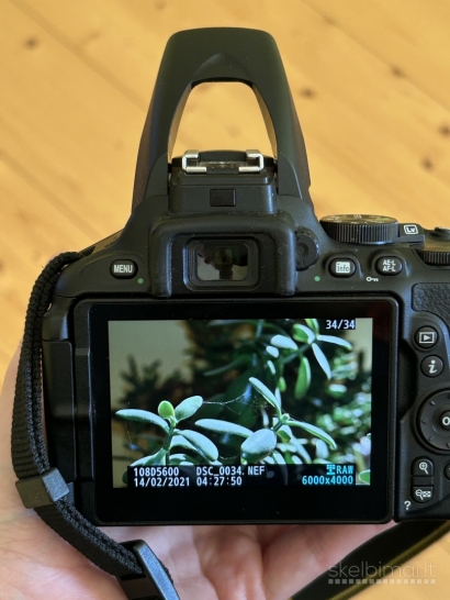 Veidrodinis Nikon d5600 fotoaparatas