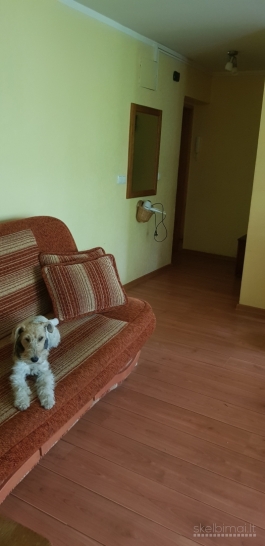 Ilgalaikė buto nuoma.